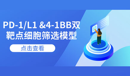PD-1/L1 &4-1BB雙靶點細(xì)胞篩選模型 PD-1/L1 &4-1BB雙靶點細(xì)胞篩選模型